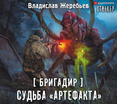 Бригадир. Судьба «Артефакта» - Жеребьев Владислав