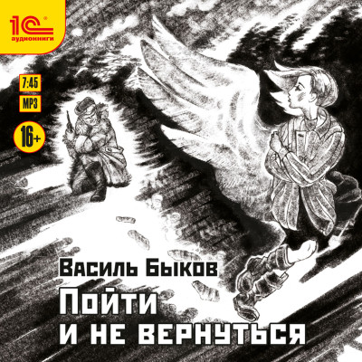 Пойти и не вернуться - Быков Василь
