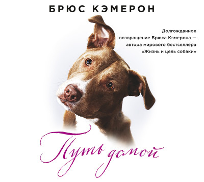Путь домой - Кэмерон Брюс