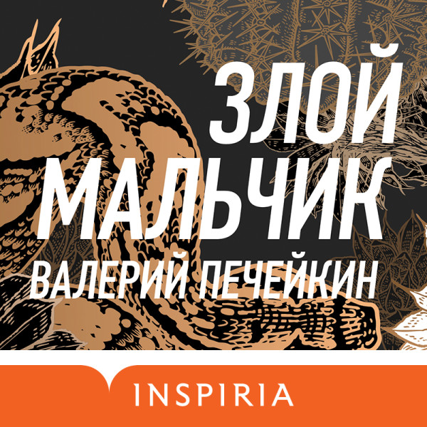 Злой мальчик - Печейкин Валерий