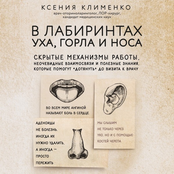 В лабиринтах уха, горла и носа. Скрытые механизмы работы, неочевидные взаимосвязи и полезные знания, которые помогут дотянуть до визита к врачу - Клименко Ксения