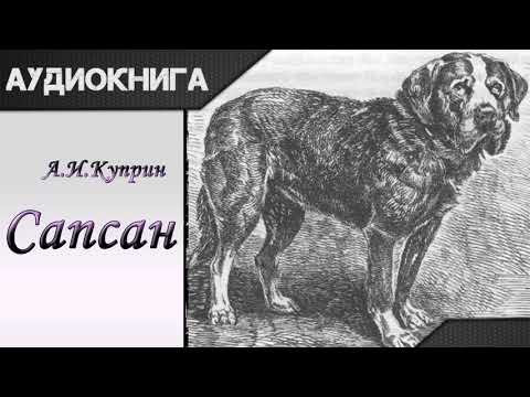 "Сапсан" А.И.Куприн. Аудиокнига