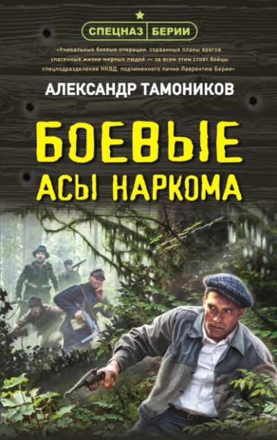 Боевые асы наркома - Александр Тамоников