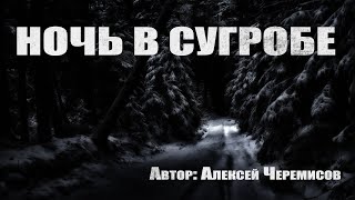 Ночь в сугробе - Алексей Черемисов