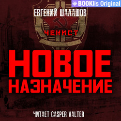 Чекист. Новое назначение - Евгений Шалашов (4)