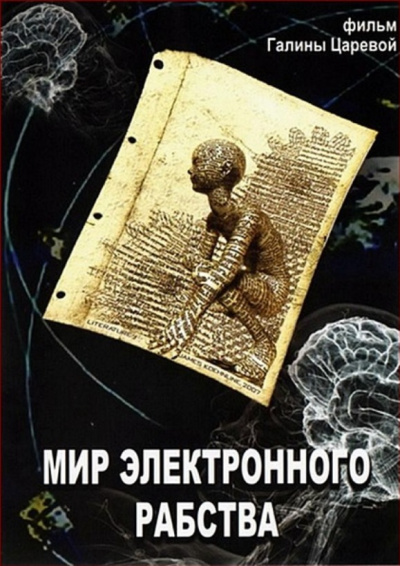 Мир электронного рабства - Владимир Медведев